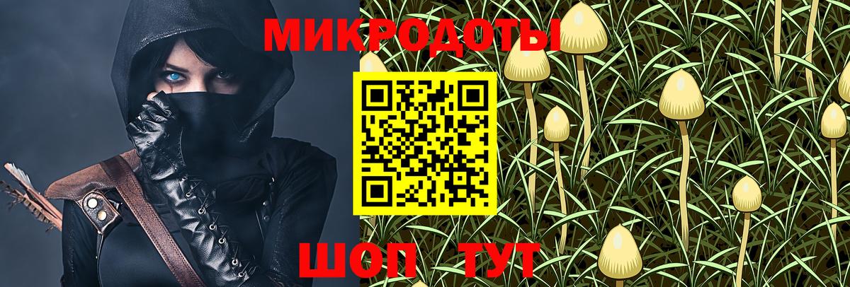 Галлюциногенные грибы Cubensis  Вход с VPN  Россошь 
