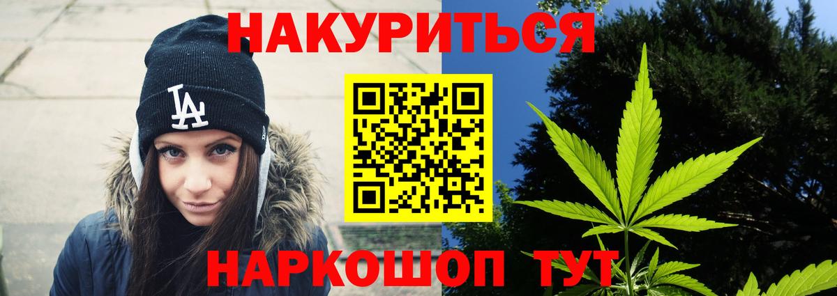 Канабис планчик  Каннабис ГИДРОПОН  Бошки Шишки SATIVA & INDICA  Россошь  Шишки марихуана OG Kush  Вход с VPN 